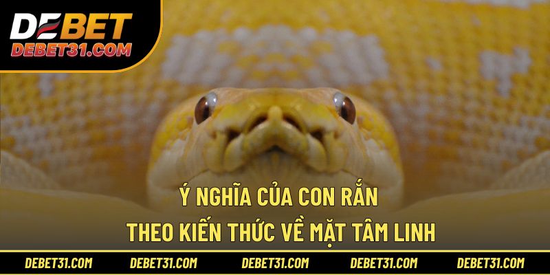 Ý nghĩa của con rắn theo kiến thức về mặt tâm linh